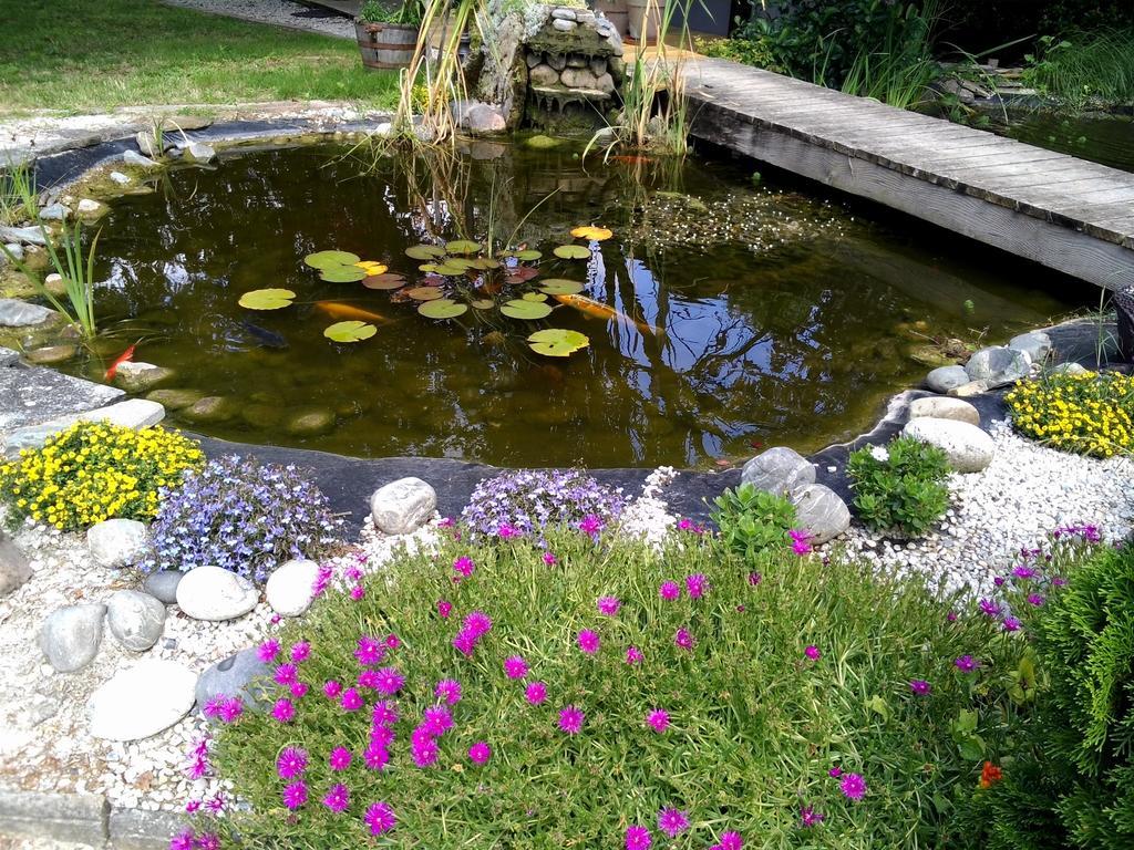 Le Bassin Du Tertre Bed and Breakfast Fronsac  Εξωτερικό φωτογραφία