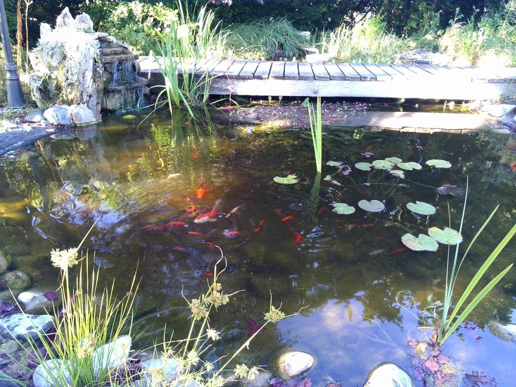 Le Bassin Du Tertre Bed and Breakfast Fronsac  Εξωτερικό φωτογραφία